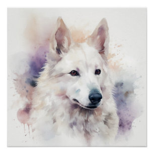 Charmantes weißes Sapsali Dog Aquarellbild Poster