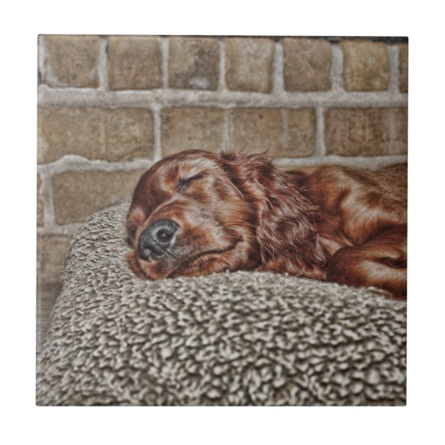 Charme Fliese (Vorderseite)