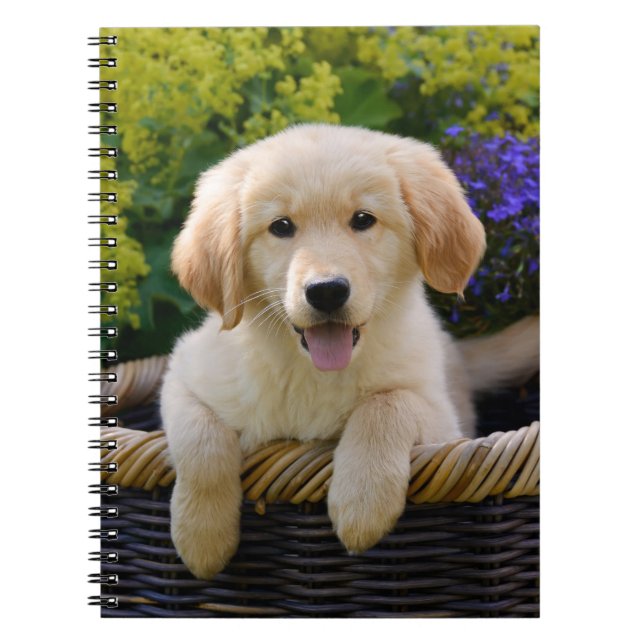 Charme Goldie Retriever Niedliche Welpe, Fotocover Notizblock (Vorderseite)