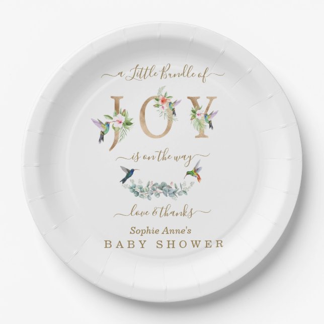 Charme kleine Menge Joy Hummingbird Baby Dusche Pappteller (Vorderseite)