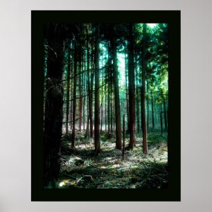 Charmewald Poster