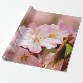 Charmin Sakura Blume auf Rosa, Rosa, Rosa Geschenkpapier