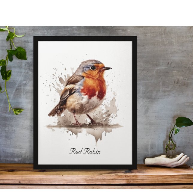 Charming Backyard Robin, Brauch Poster (Von Creator hochgeladen)