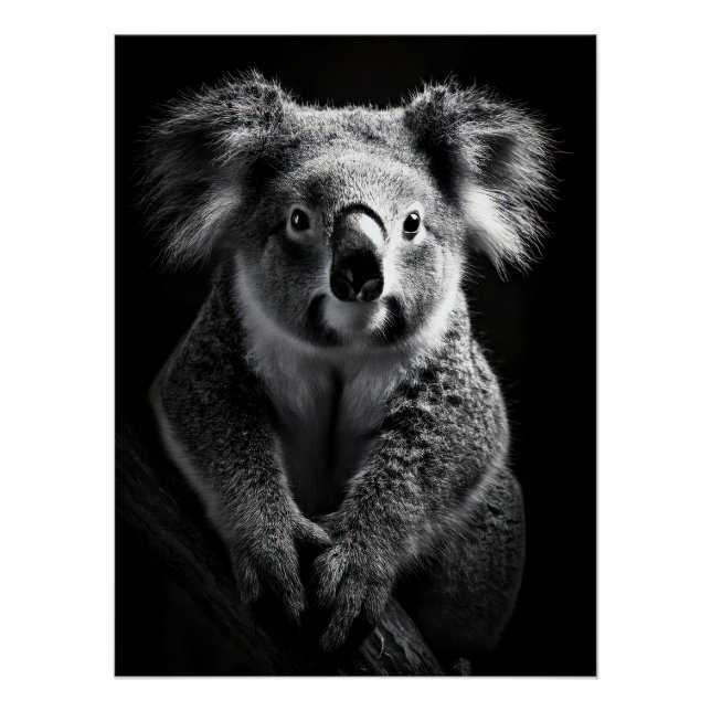 Charming Black & White Koala Fine Art Print | Poster (Vorderseite)