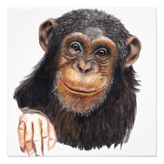 Charming Chimpanzee Fotodruck