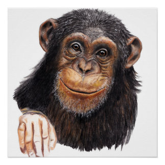 Charming Chimpanzee Poster
