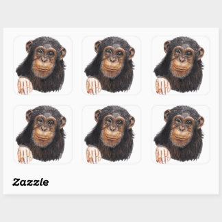 Charming Chimpanzee Quadratischer Aufkleber