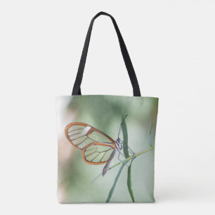 Charming Clear-Wing Butterfly