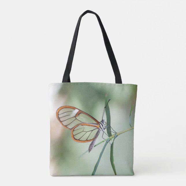 Charming Clear-Wing Butterfly (Rückseite)