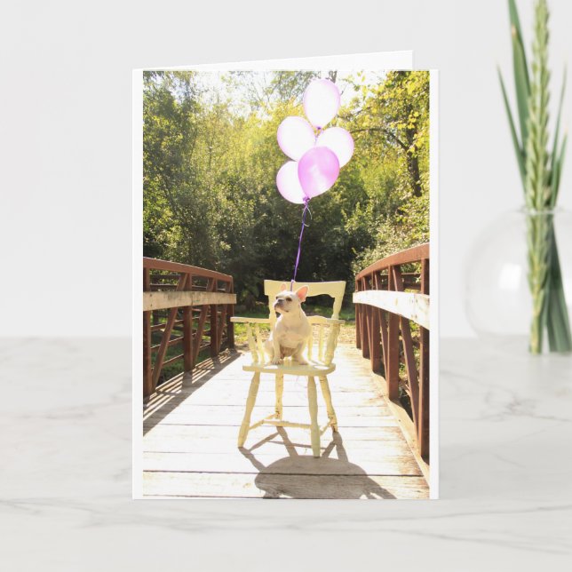 Charming French Bulldog zum Geburtstag Karte (Vorderseite)