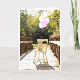 Charming French Bulldog zum Geburtstag Karte