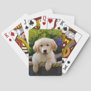 Charming Goldie Cute Puppy, Game Spielkarten