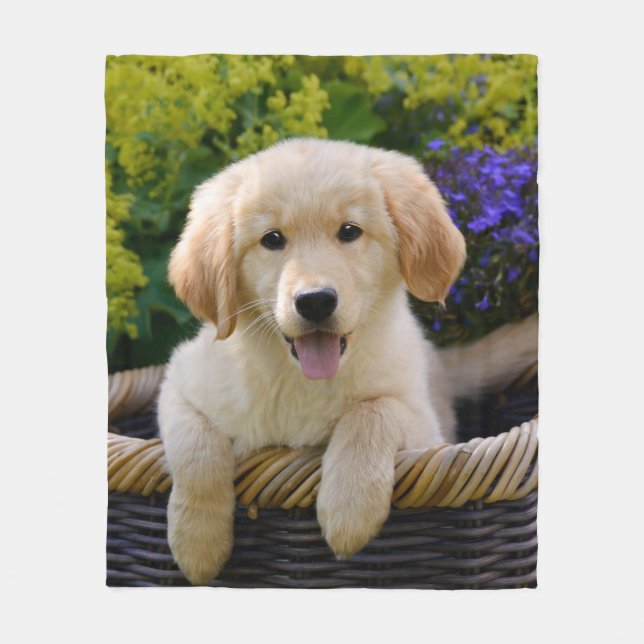 Charming Goldie Retriever Dog Puppy Foto Portrait Fleecedecke (Vorderseite)