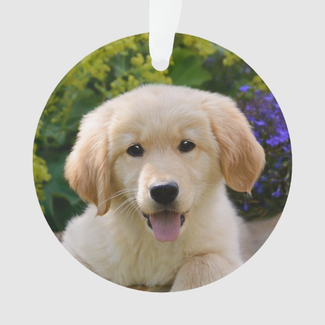 Charming Goldie Retriever Doppy - Ornament (Vorderseite)