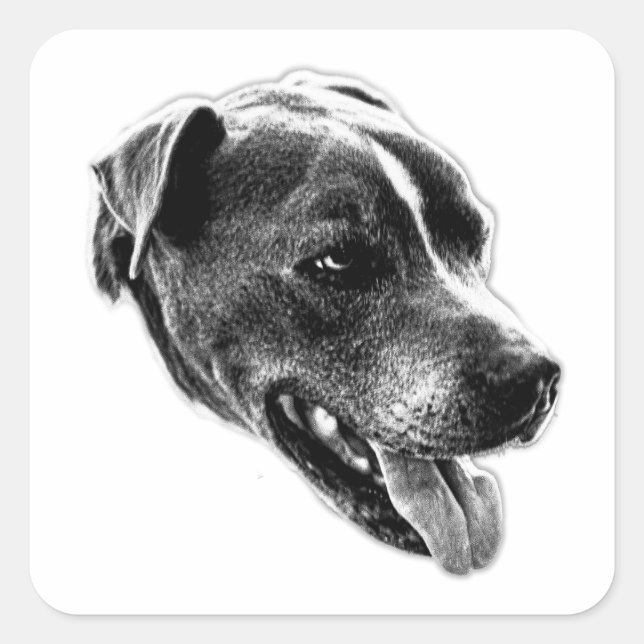 Charming Smile Pitbull Mix Art Sticker (Vorderseite)