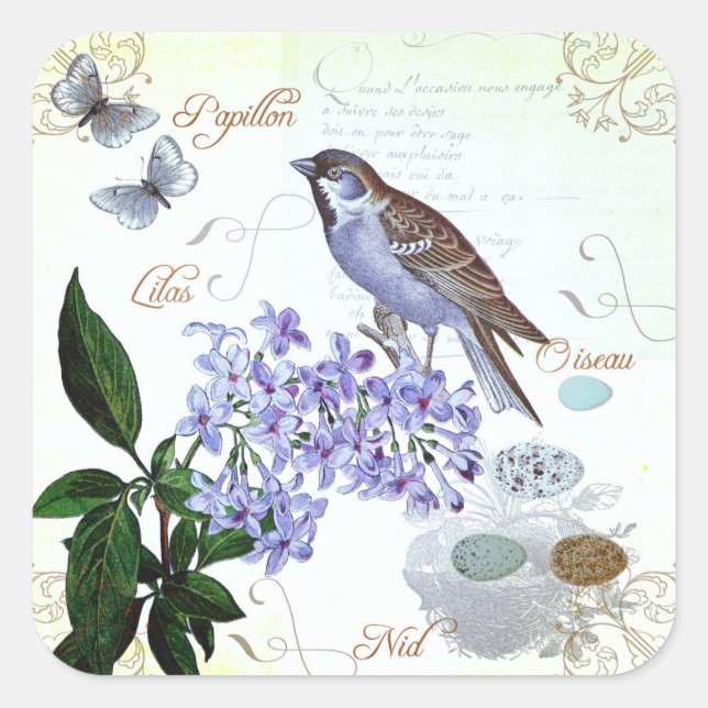 Charming Vintager französischer Vogel-Text-Collage Quadratischer Aufkleber (Vorderseite)