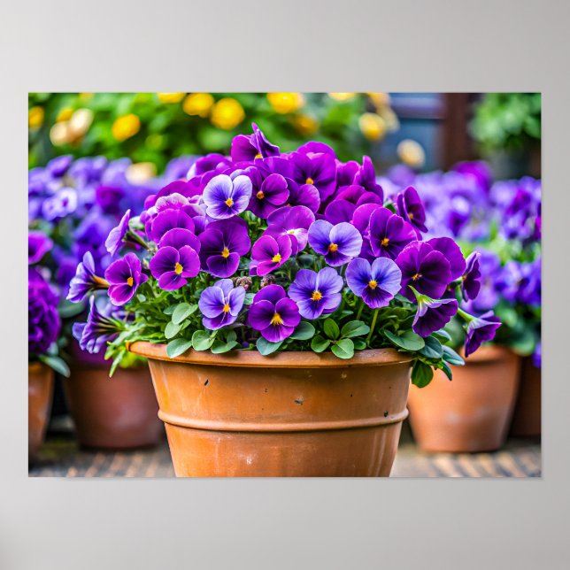 Charming violet flower pot poster (Vorne)