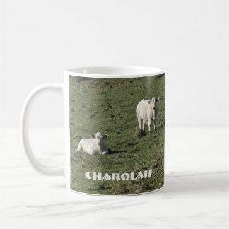 Charolais schüchtern ein und kalben Tasse