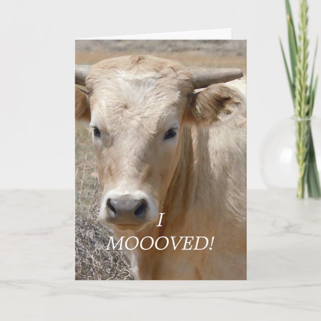 Charolais-weiße Kuh - Western-Adressenänderung Ankündigung (Vorderseite)