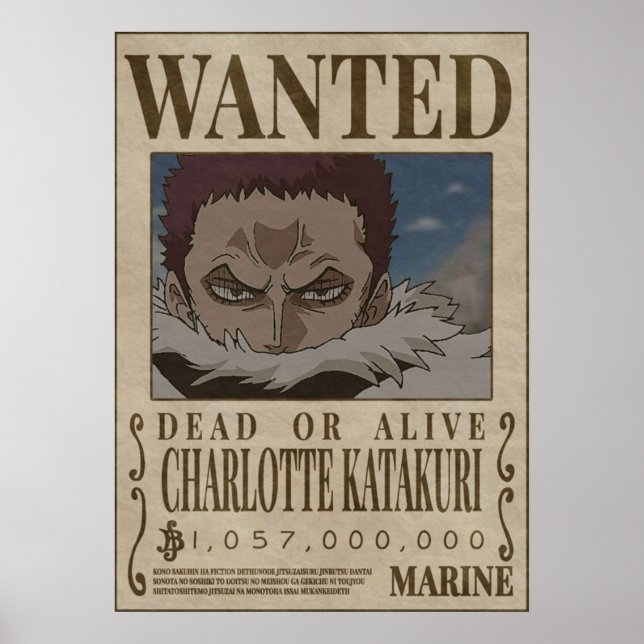 CHAROLETTE KATAKURI Ein Stück gewollt Poster (Vorne)