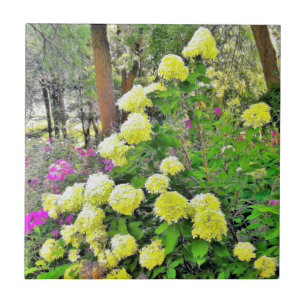 Chartreuse Green Limelight Hydrangea Garden Fliese