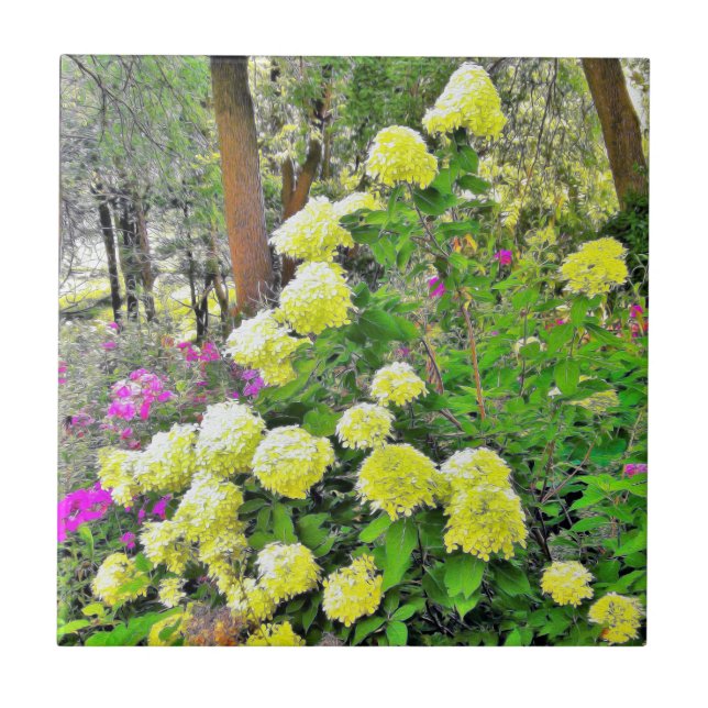 Chartreuse Green Limelight Hydrangea Garden Fliese (Vorderseite)