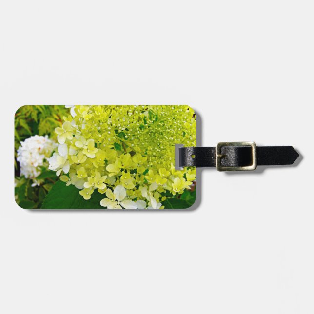 Chartreuse Green, Limelight Hydrangea, Gepäckanhänger (Vorderseite horizontal)