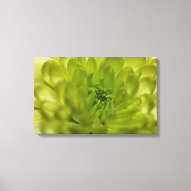Chartreuse Green Mum Wrapped Canvas Leinwanddruck (Vorderseite)