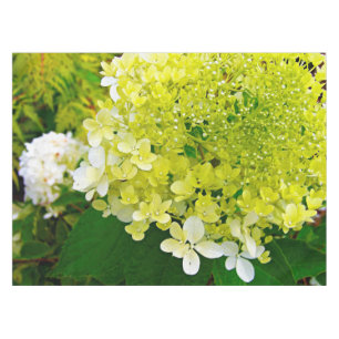 Chartreuse Grün, Limelight Hortensie, Tischdecke
