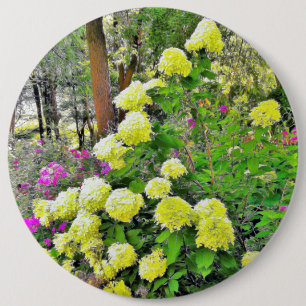 Chartreuse Grüne Limelight Hortensien Garten Button