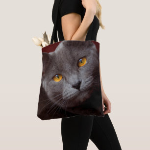 Chartreux