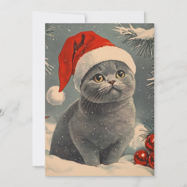 Chartreux Cat Christmas Feiertagskarte (Vorderseite)