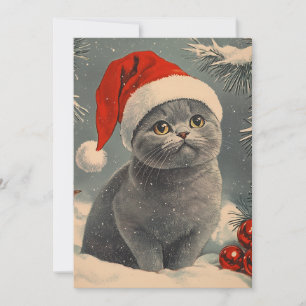 Chartreux Cat Christmas Feiertagskarte