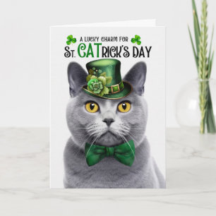 Chartreux Graue Katze St CATrick's Day Glücksbring Feiertagskarte