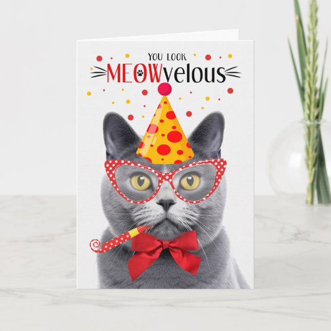 Chartreux Gray Cat MEOWvelous Birthday Karte (Vorderseite)