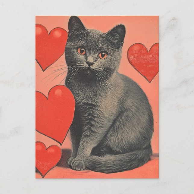 Chartreux-Katze Vintager Valentinstag Postkarte (Vorderseite)