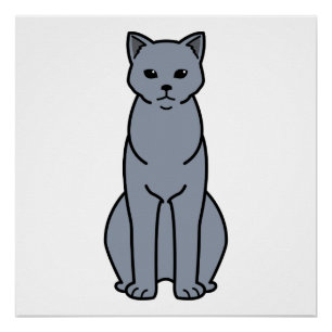 Chartreux Katzen-Cartoon Poster