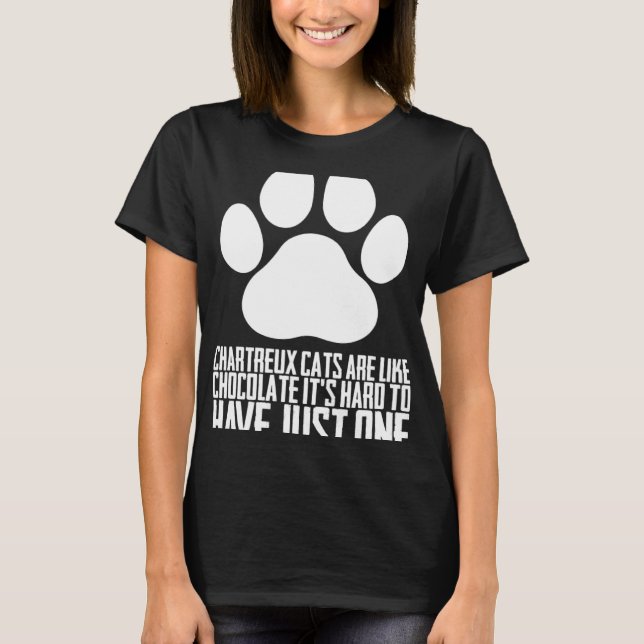 Chartreux-Katzen Chartreux Chartreux-Kätzchen T-Shirt (Vorderseite)