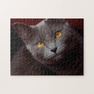 Chartreux-Puzzle Puzzle
