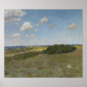 Chase - Sonnenlicht und Schattenschatten Poster