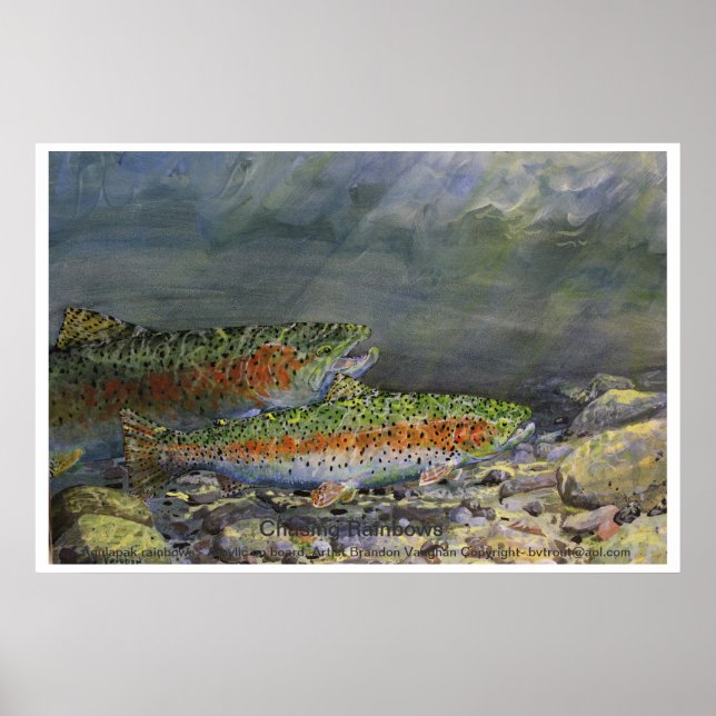 Chasing Rainbows Poster (Vorne)