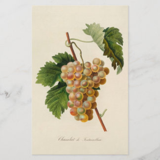 Chasselat de Fontainebleau Schreibwaren Briefpapier