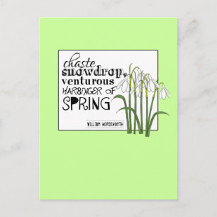 Chaste Snowdrop Postkarte