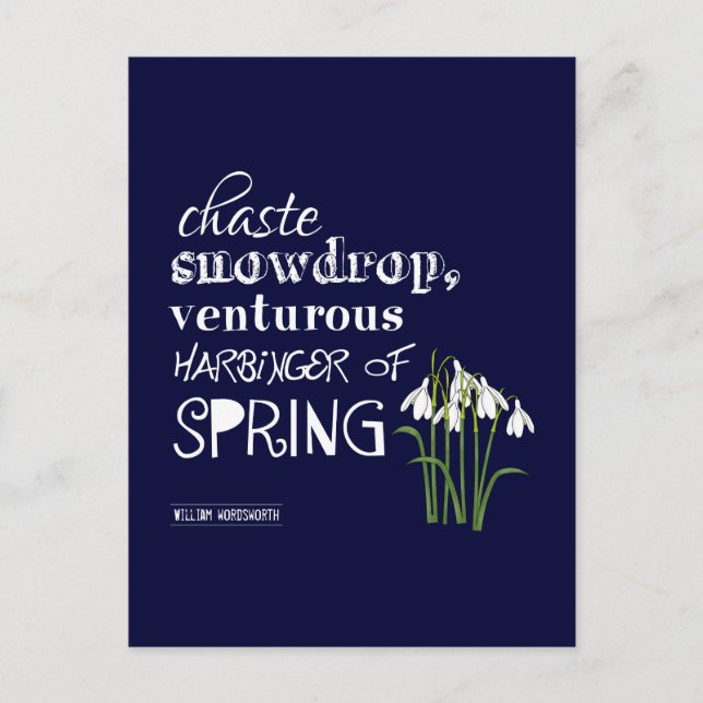Chaste Snowdrop, Venturous Vorbote des Frühlings Postkarte (Vorderseite)