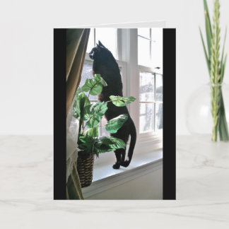 Chat auf der Windows-Merkkarte Karte