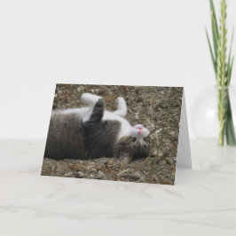 Chat Auf Osterkarte Feiertagskarte