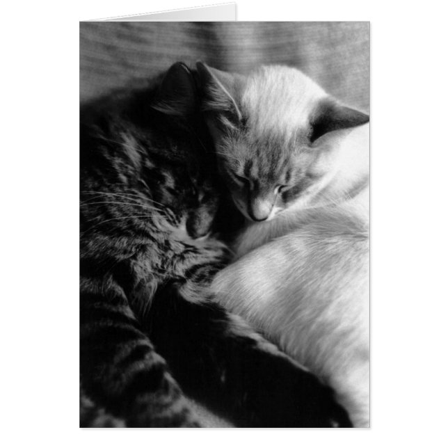 Chat Card Nr. 5 (Vorne)