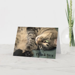 Chat Dankeschön Karte