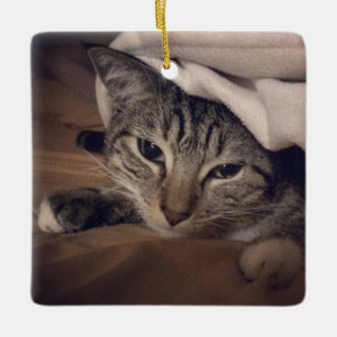 Chat Foto Square - Weihnachten Keramikornament