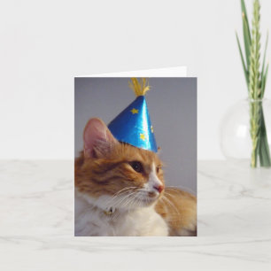 Chat in Blue Party Hat Blank Note Card Karte